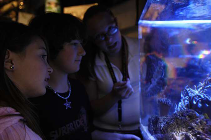 Children looking into an aquarium tank