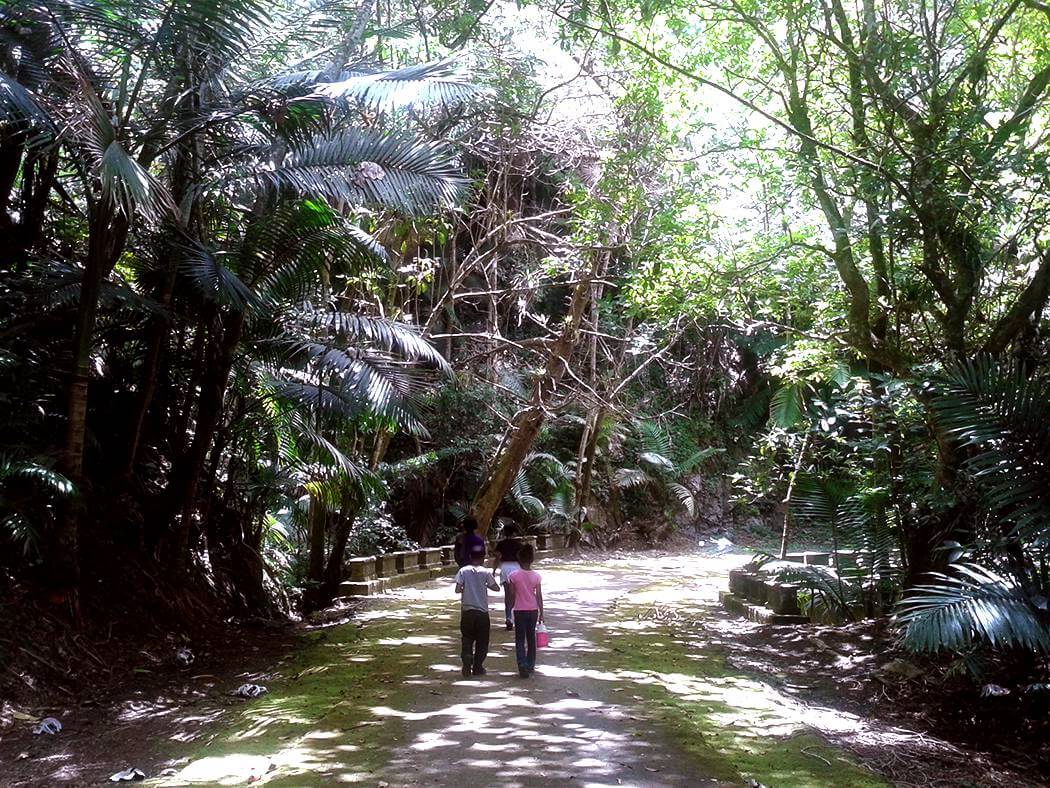 Young people walking along a path