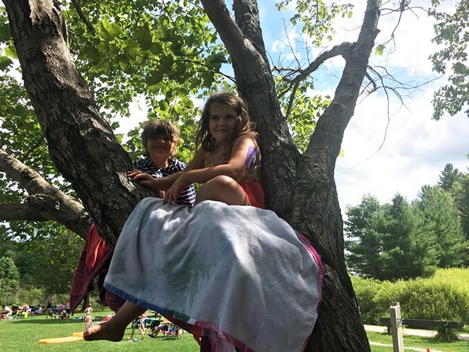 children in a tree