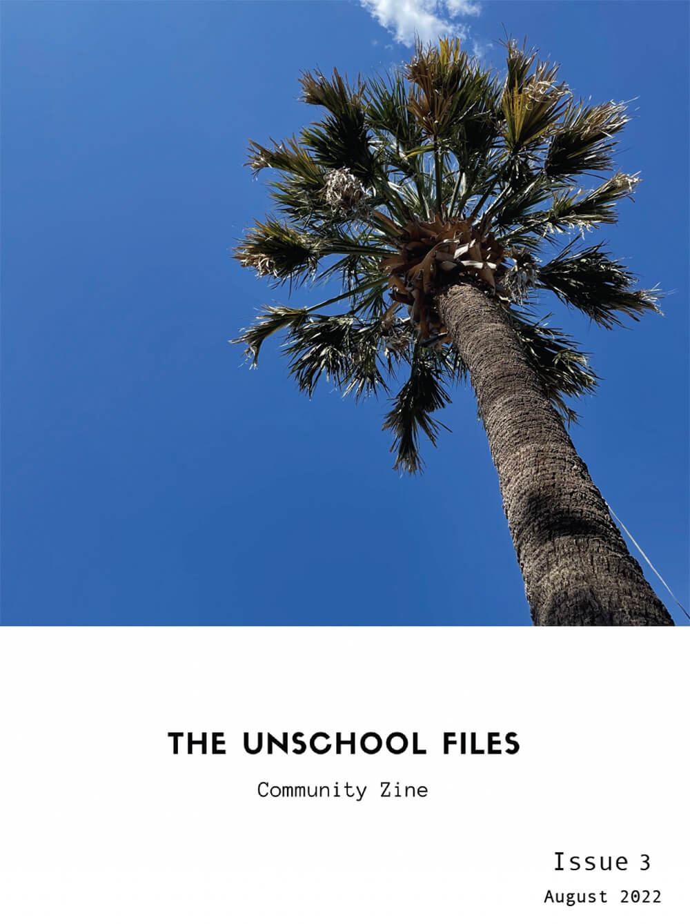 The Unschool Files