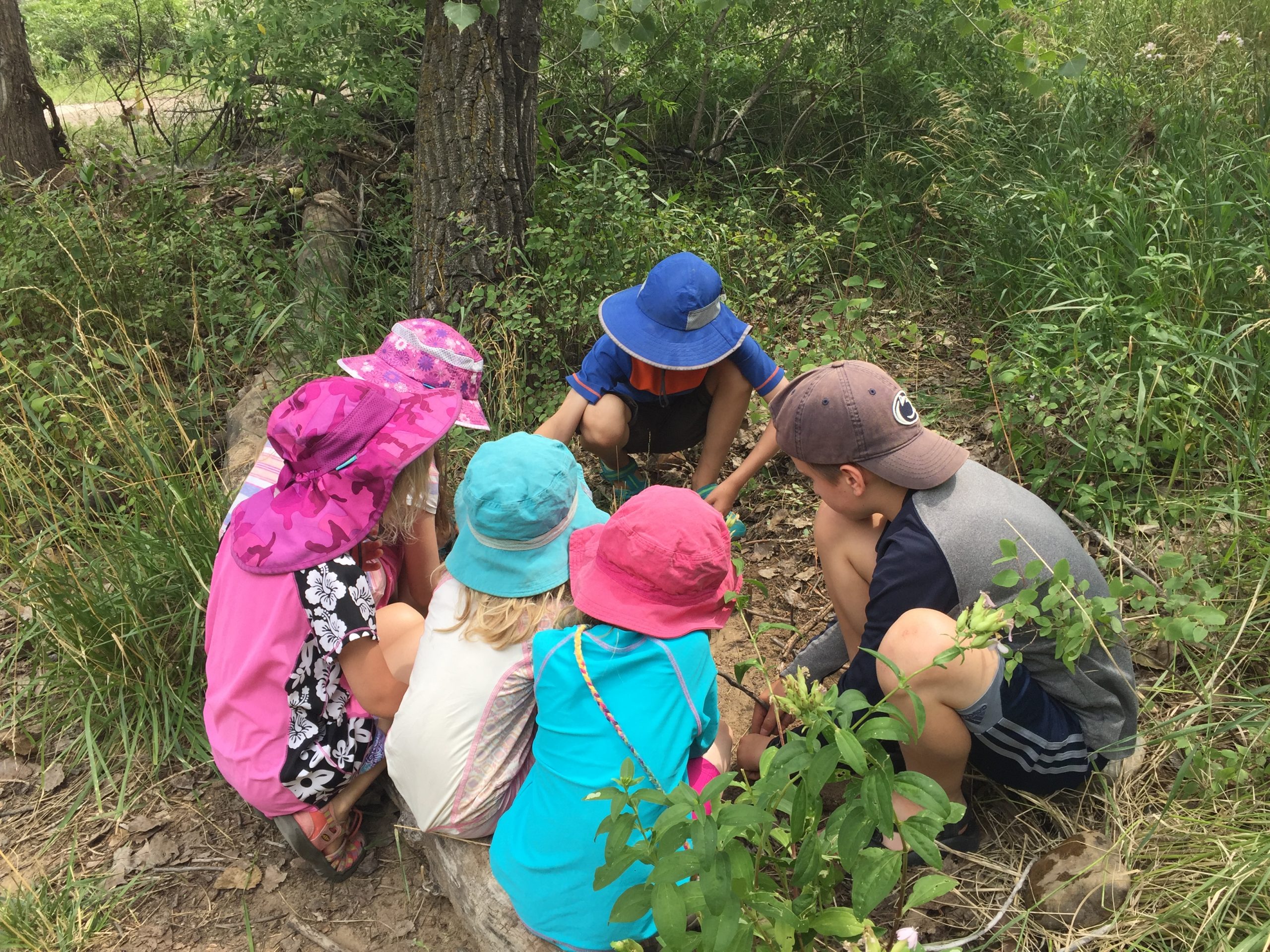 group of kids huddled in a forest