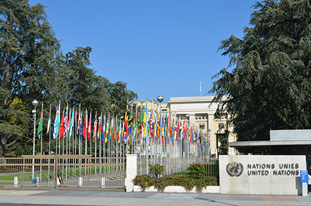 The United Nations Building